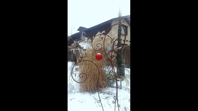 Зимний декор для сада от QGARDEN RU