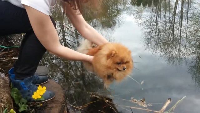 062338b0f6db4de24f9c4fef1e662776