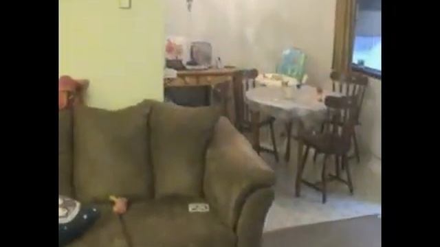 Феденьке 1,6 считает  с пелёнок от Умницы