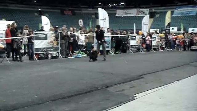 B348ec0169f8d058134c0fe06b804e69