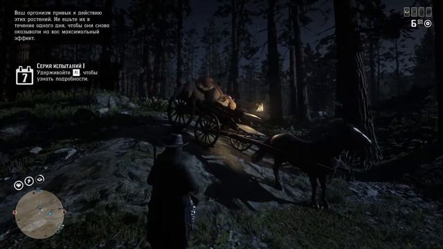 Red Dead Redemption 2 - Конь в телеге