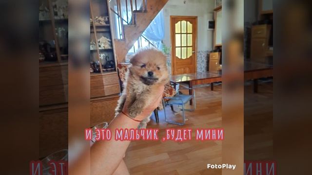 7d96321e57c1e4c850393c9555ed7c01