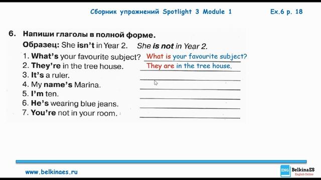 Разбор ГДЗ: Spotlight 3 Module 1 | Сборник упражнений | Числител?
