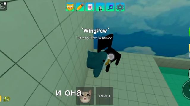 🐱🦈Туториал как получить кота акулу в игре с котятам?