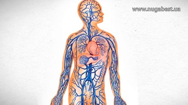 Nuga Best Нуга Бест   нова турманієва подушка NM 30   відгуки ?