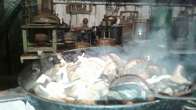 13a3cb761521377bab89e2062d03d939