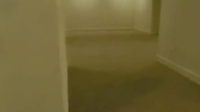 ПРЯЧЬСЯ или БЕГИ! | Уровень 312