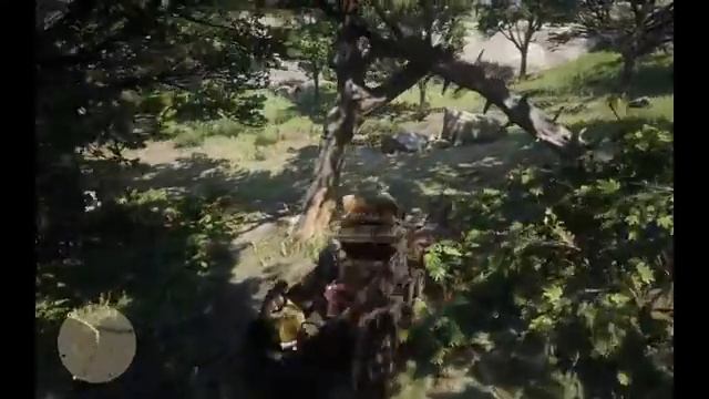 Red Dead Redemption 2. Прохождение. Глава 2.