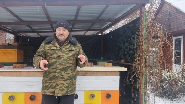 🔴 Как просто защитить пчел от синичек. А леток от обле