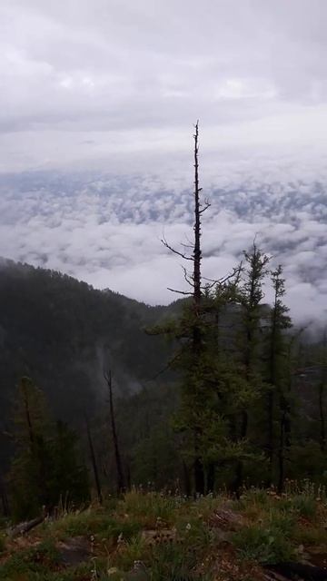 Республика Бурятия.  Аршан.  Пик Любви. Июль 2021 г. #пиклюбви  #аршан #бурятия