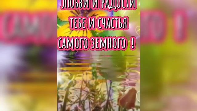 Гомер чанасы