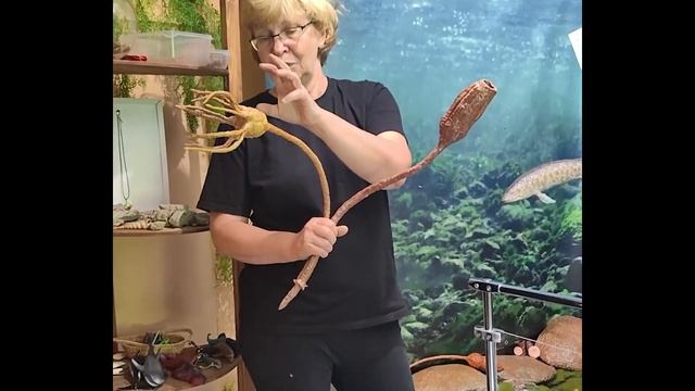 Парк девонского периода