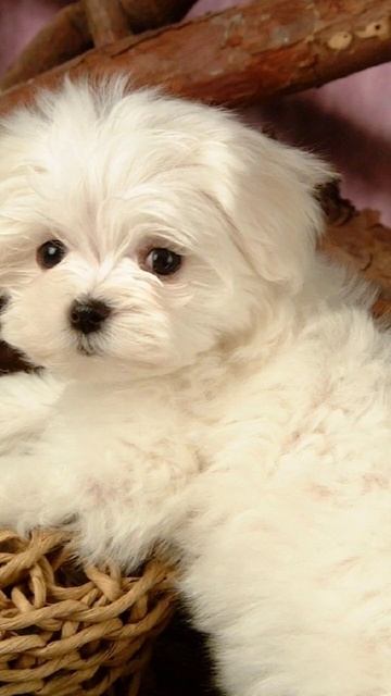 17 лютого 2023 р.