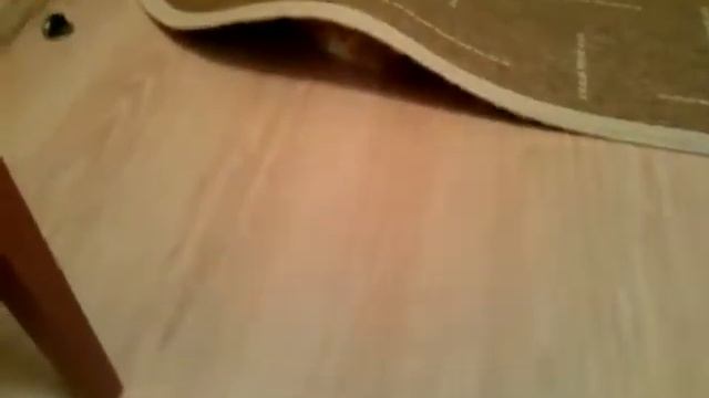 Котенок и ковёр#игры