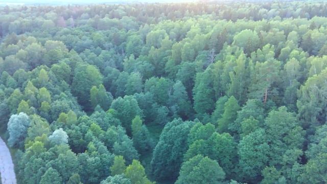 Деревня Ручей