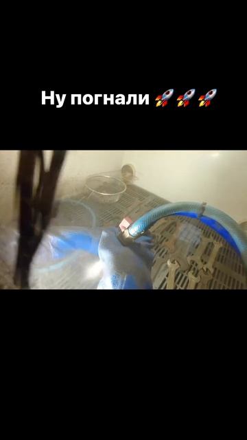 #аквабластинг #пескоструй #пескоструйнаяобработка #пе