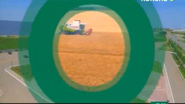 Выход с профилактики канала 