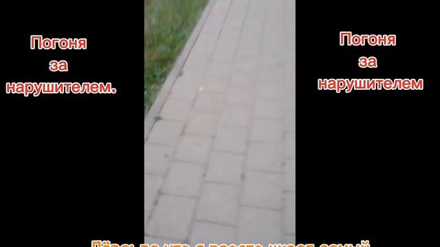 Погоня на велосипедах, задержали нарушителя от 7 до 13 л