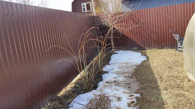 1  АПРЕЛЯ!!! Никому не веря))) Огородные дела начались!!! 🌱