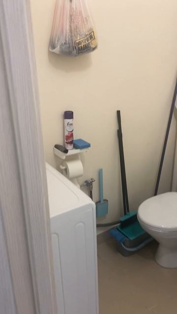 Сдам студию  на Широкой речке