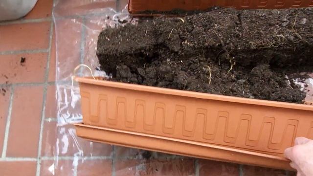 81eafba65a74b0d9baa83031c99bd811