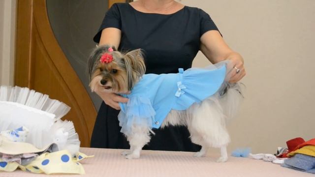 D23142a631bf6a63df6ef06ed4eb1cd9