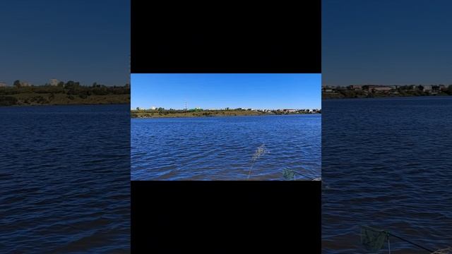 E8697fce17c738ea4b6342bfe58cd195