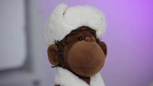 Rutube_account_14686633