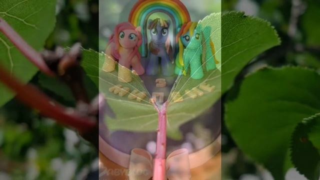 Мое слайд-шоу