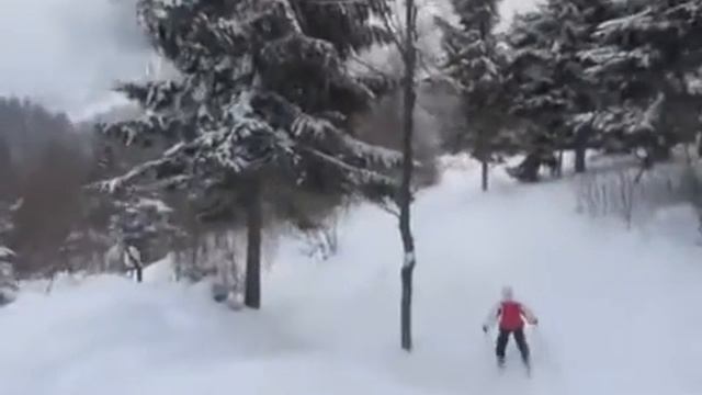 Тростян февраль 2012