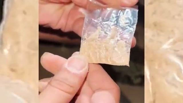 Синтетикалық есірткі-жиырма бірінші ғасырдың жаңа кеселі