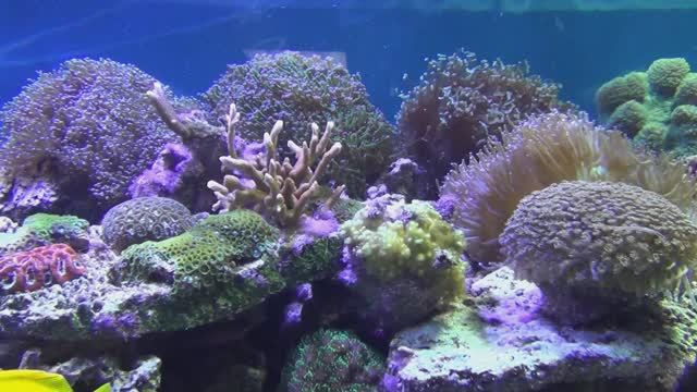 новосибирский зоопарк