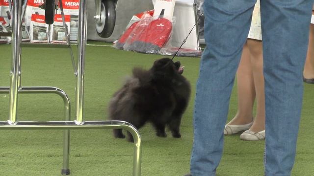 3514373140a8959d040b49206194ca41