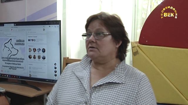 Сбор кормов для бездомных животных
