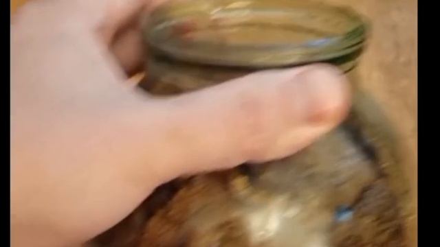 Приготовление настойки на красном мухоморе