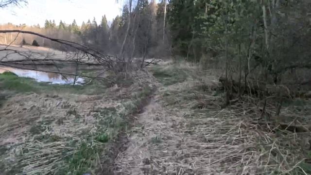 Оторвало звезду в самый неподходящий момент. Обзор мо?