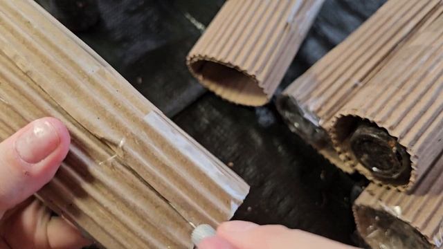 F1ca28b7a4393d7693673df882a81f6e