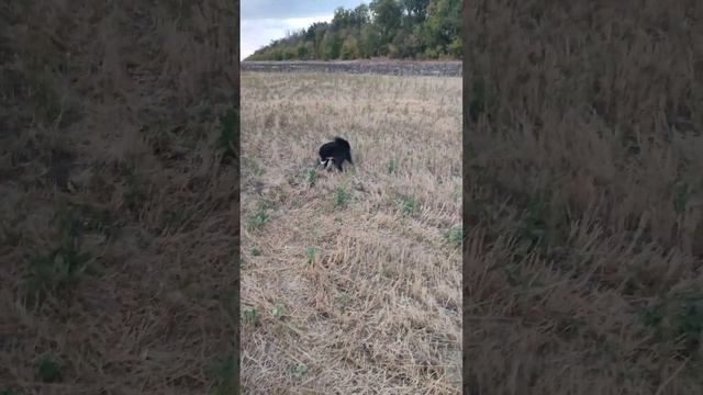 Первая маленькая победа Найды, РЕЛ 3,5 месяца