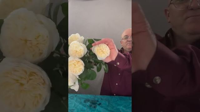 0e99e2943092c6298004d19f4c25dc60