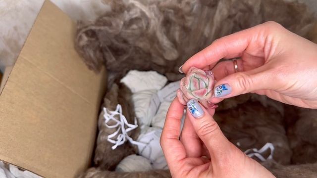 65caa8e52ad652f6ce9eb7f568031834