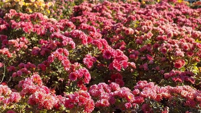 Eac8f35a771849118ca4737f843e6de6