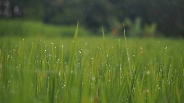 Муж ЗАВЕЛ роман и БРОСИЛ жену с малышом. А через два го?