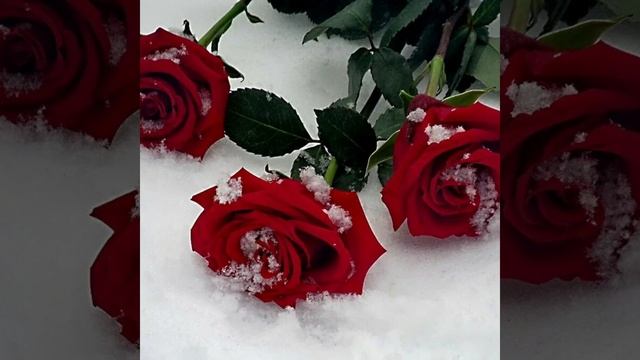 1aee722a346175bf3669576c2d1ab02c