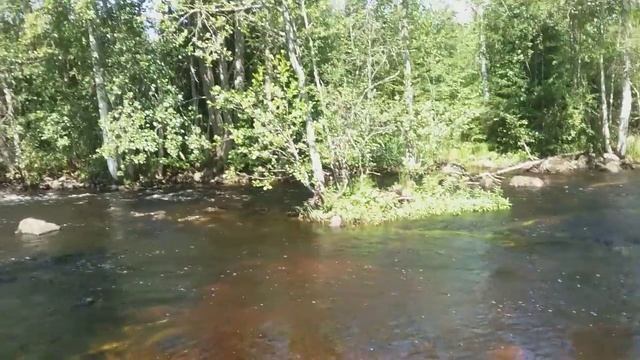 Старые традиции сегодня. Мытье  и чистка домотканных д