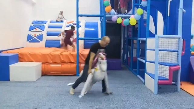 Принц на белом коне ))