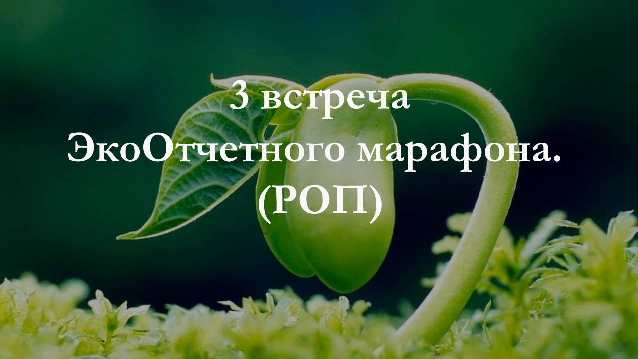 3 встреча ЭкоОтчетного марафона (РОП)