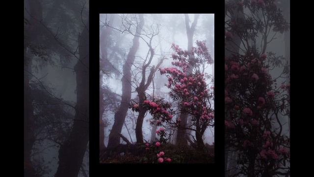 спокойный биточек