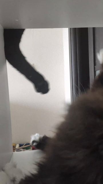 — Эй там, на нижней полке ...