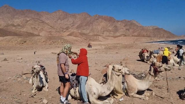 Египет. Каньон Салама, Дахаб, Абу Галум, квадроциклы и ?