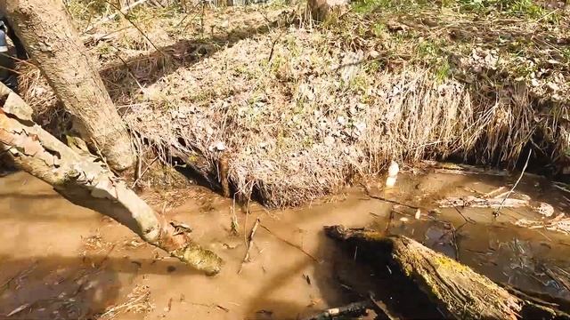 САМЫЙ ЖЕСТКИЙ ТЕСТ Sharmax 1100. Открытие квадросезона Ниже